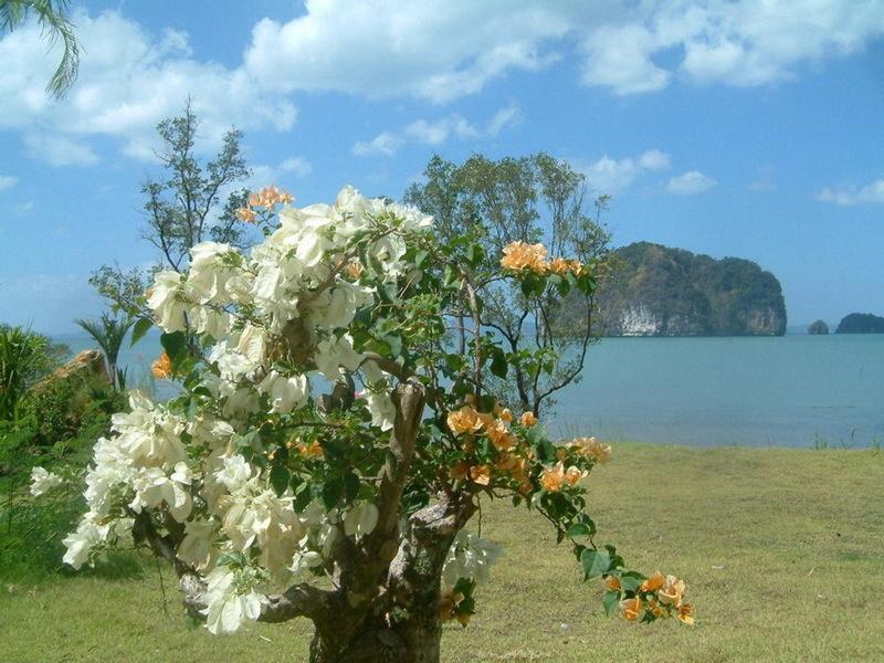 Tha Lane Bay Villas Екстериор снимка